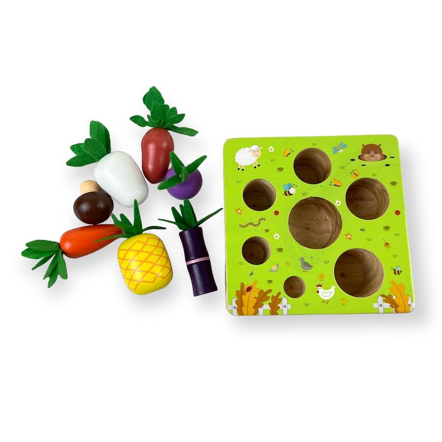 Montessori Vegetable Set Toys 
