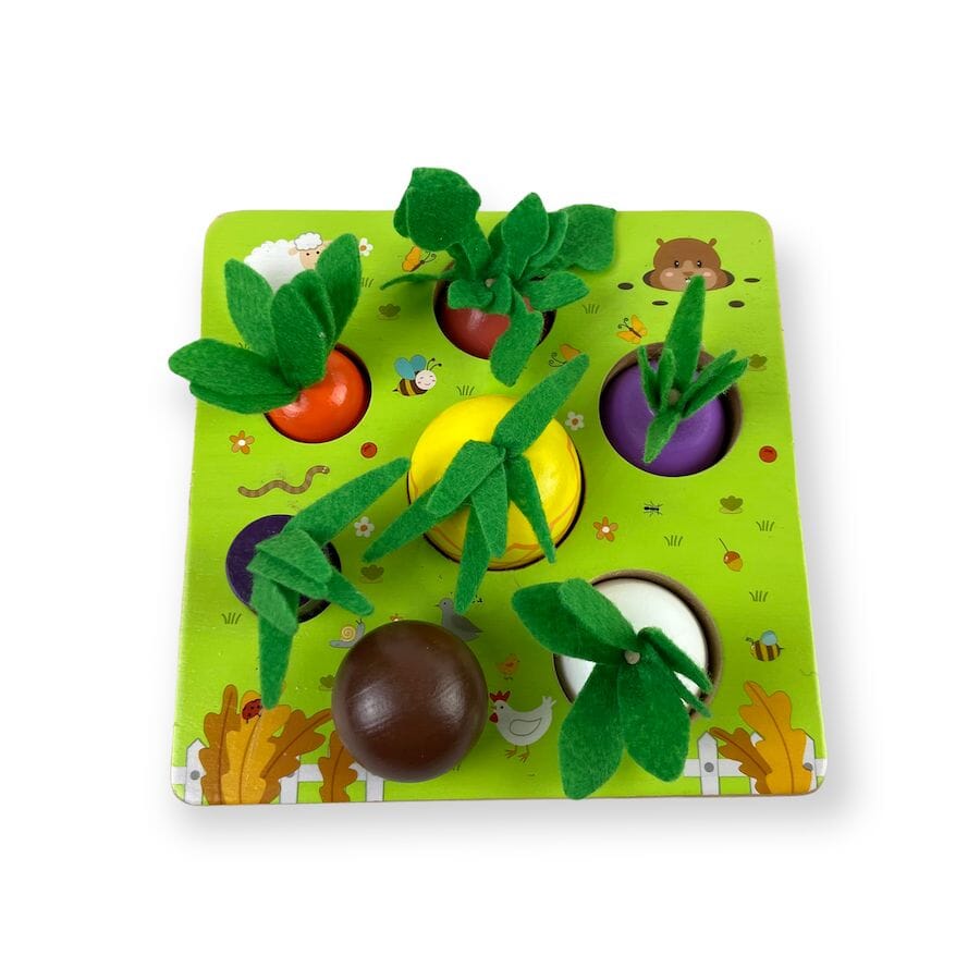 Montessori Vegetable Set Toys 