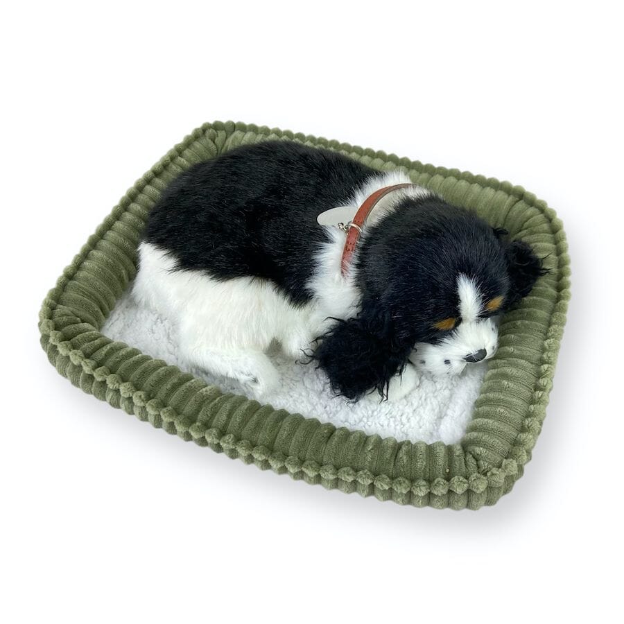 Perfect Petzzz - Perfect Petzzz Cocker Spaniel with Bed