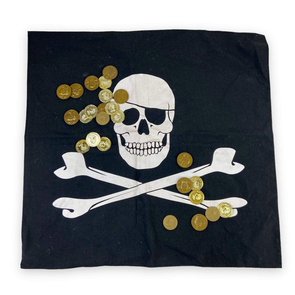 Pirate Play Set with Flag Toys 