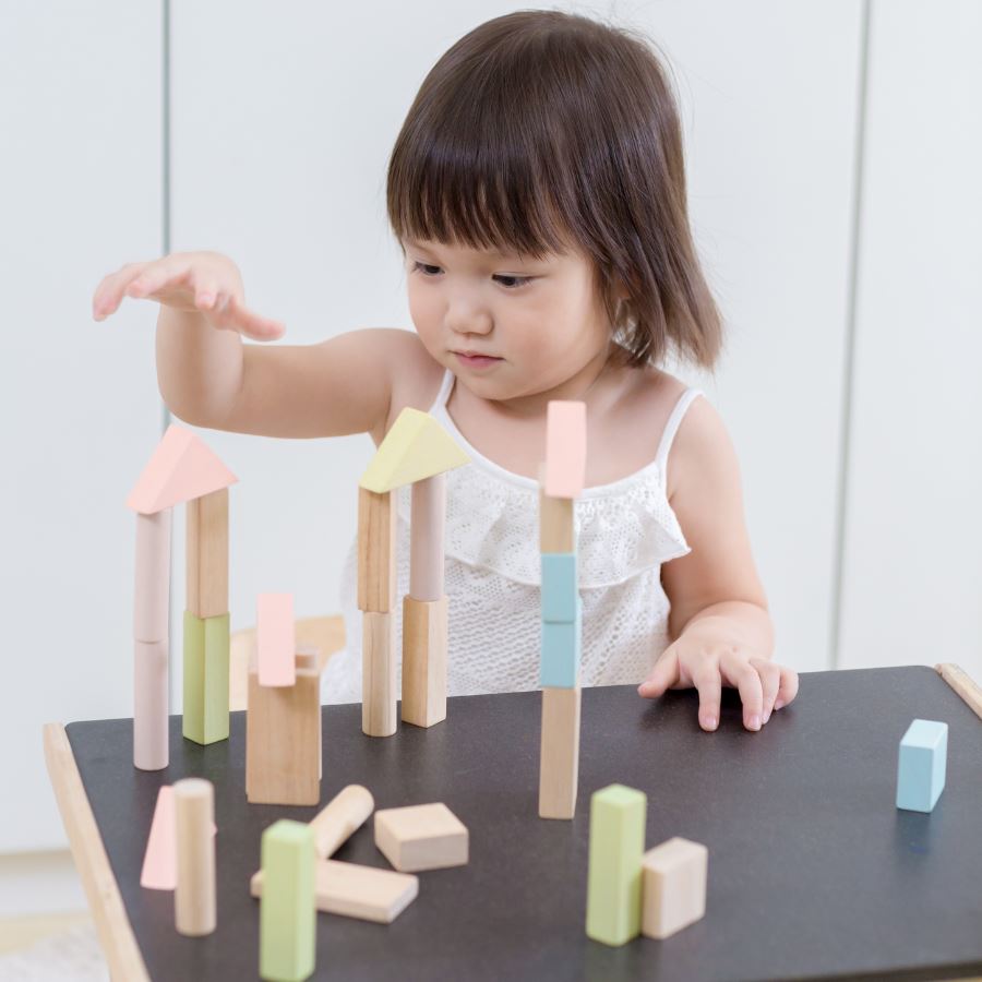 PlanToys - PlanToys 40 Unit Blocks Pastel Series