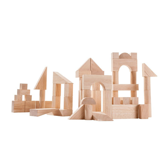 PlanToys 50 Unit Blocks Building Toys 