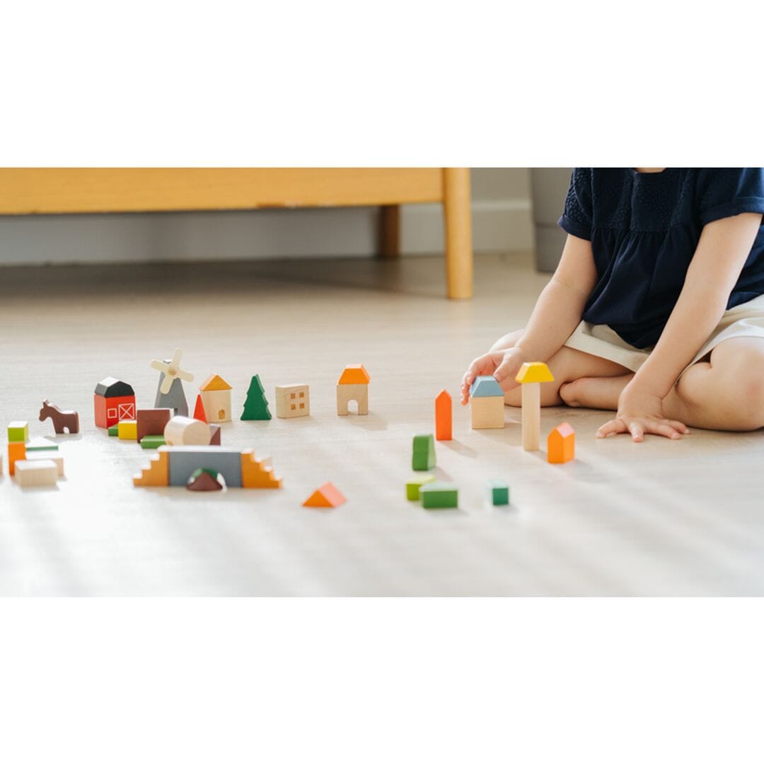 PlanToys USA - PlanToys Countryside Blocks