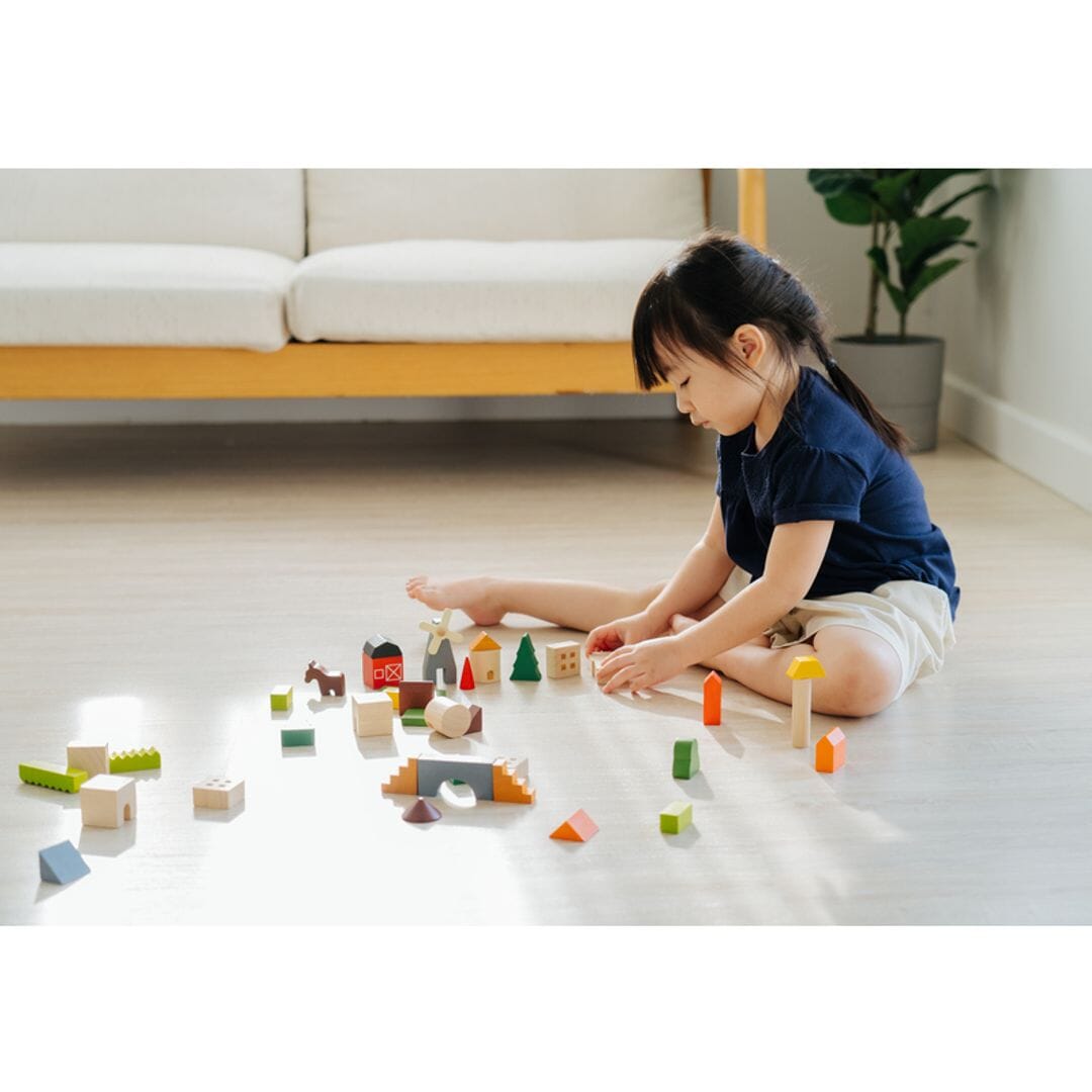 PlanToys USA - PlanToys Countryside Blocks
