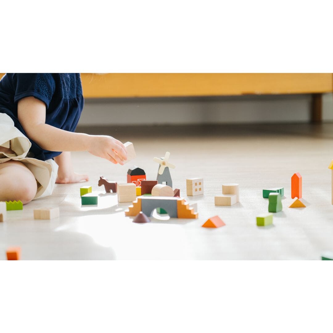 PlanToys - PlanToys Countryside Blocks - Open Box