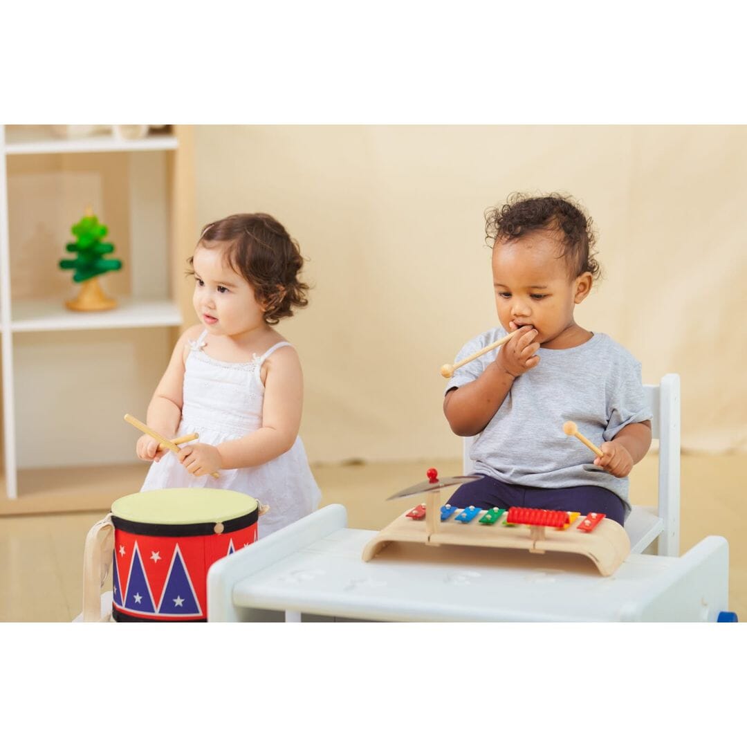 PlanToys USA - PlanToys Musical Set