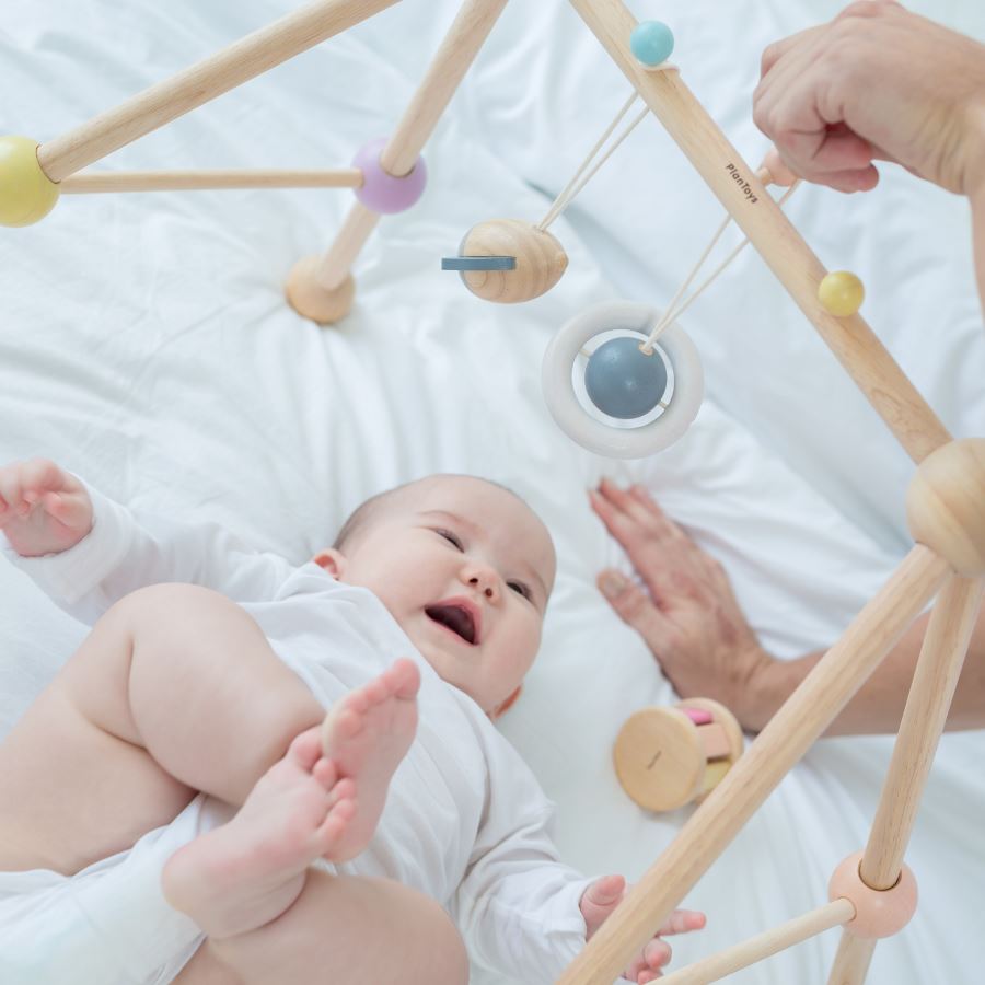 PlanToys - PlanToys Play Gym - Open Box