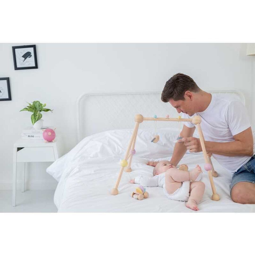 PlanToys USA - PlanToys Play Gym - Pastel Series
