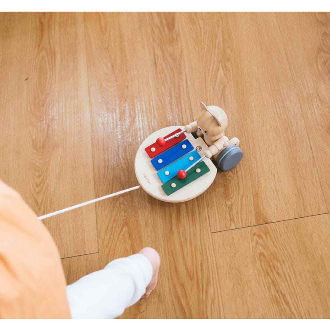 PlanToys USA - PlanToys Pull Along Musical Bear
