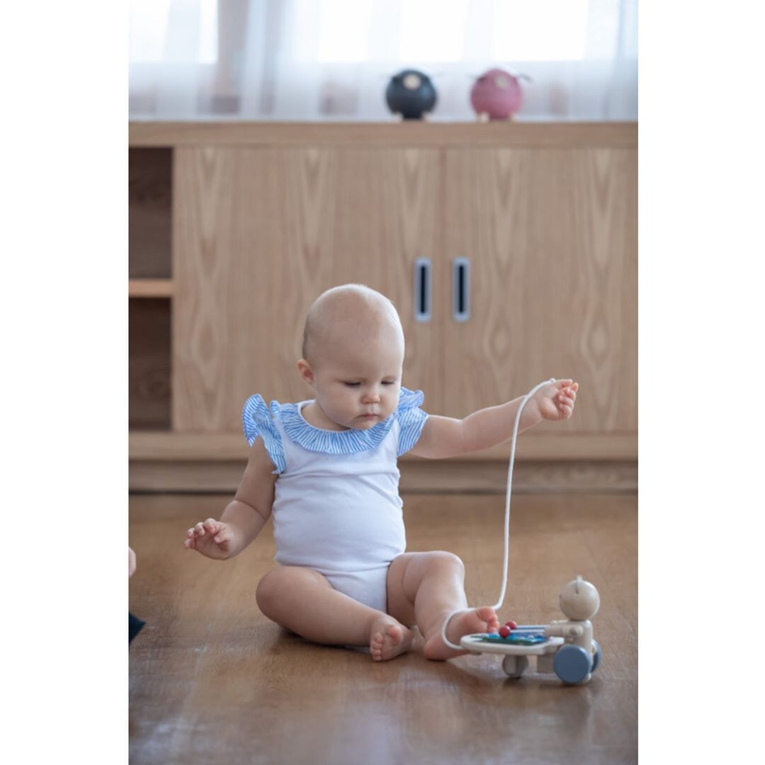 PlanToys USA - PlanToys Pull Along Musical Bear