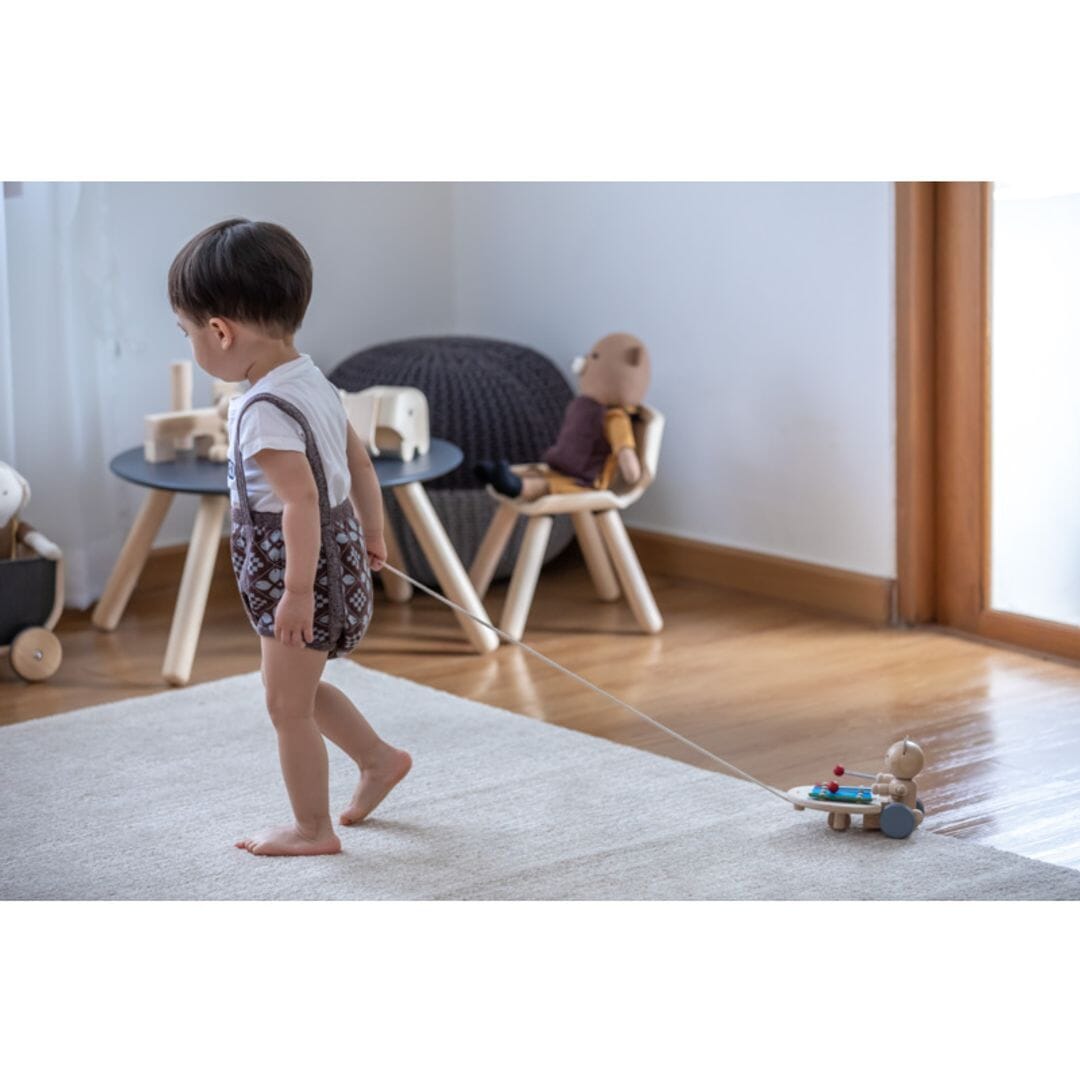 PlanToys USA - PlanToys Pull Along Musical Bear