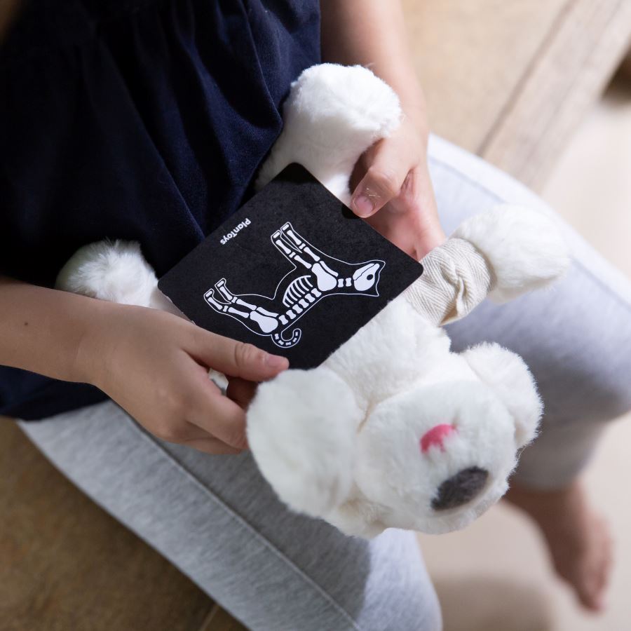 PlanToys - PlanToys Vet Set