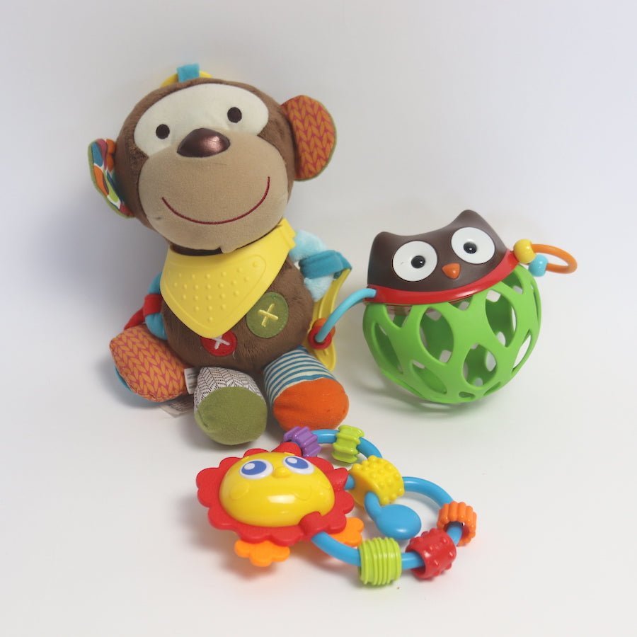 TOYCYCLE - Skip Hop Toy Bundle