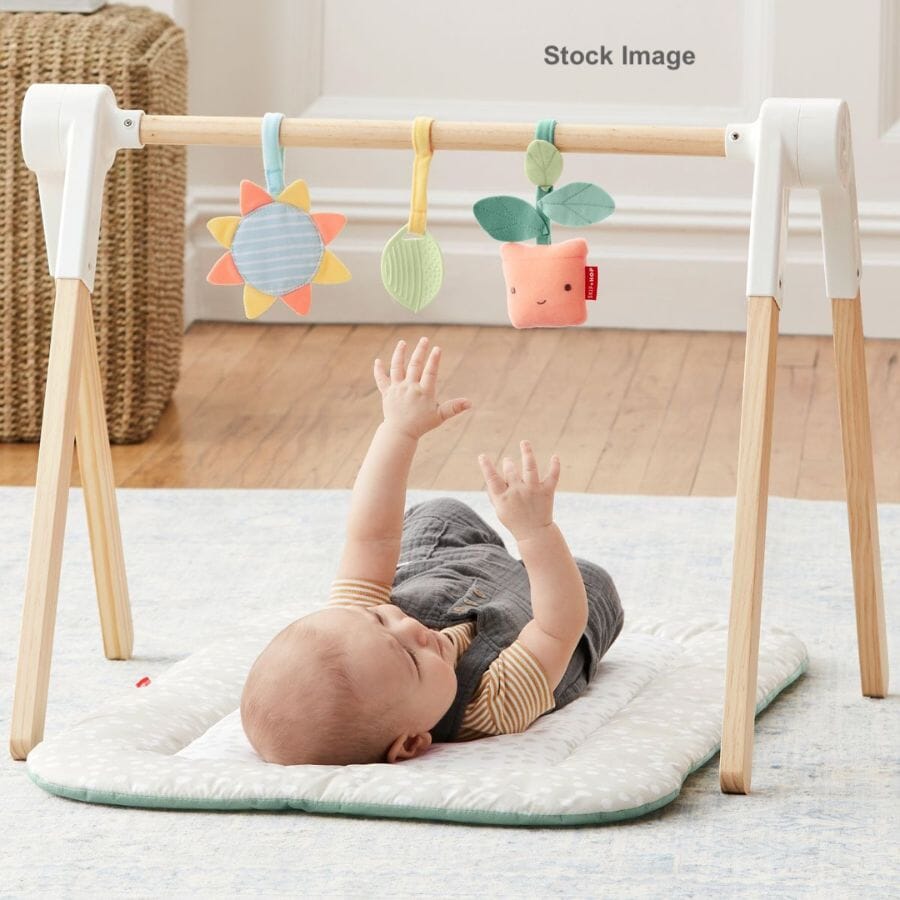 Skip Hop - Skip Hop Wooden Toy Arch