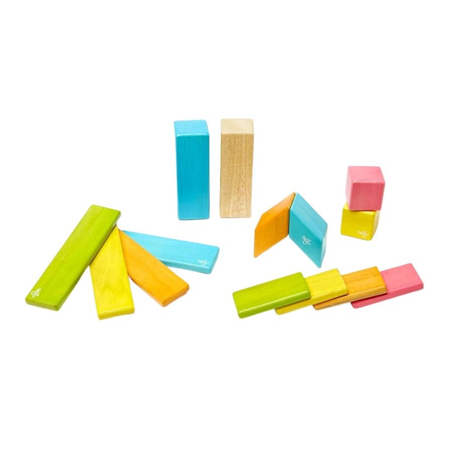 Tegu - Tegu Magnetic Wooden Blocks - 14 Piece
