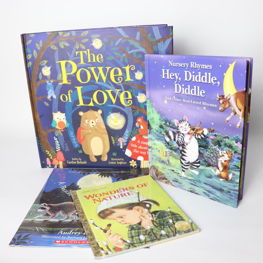 TOYCYCLE - The Power of Love - Picture Book Set