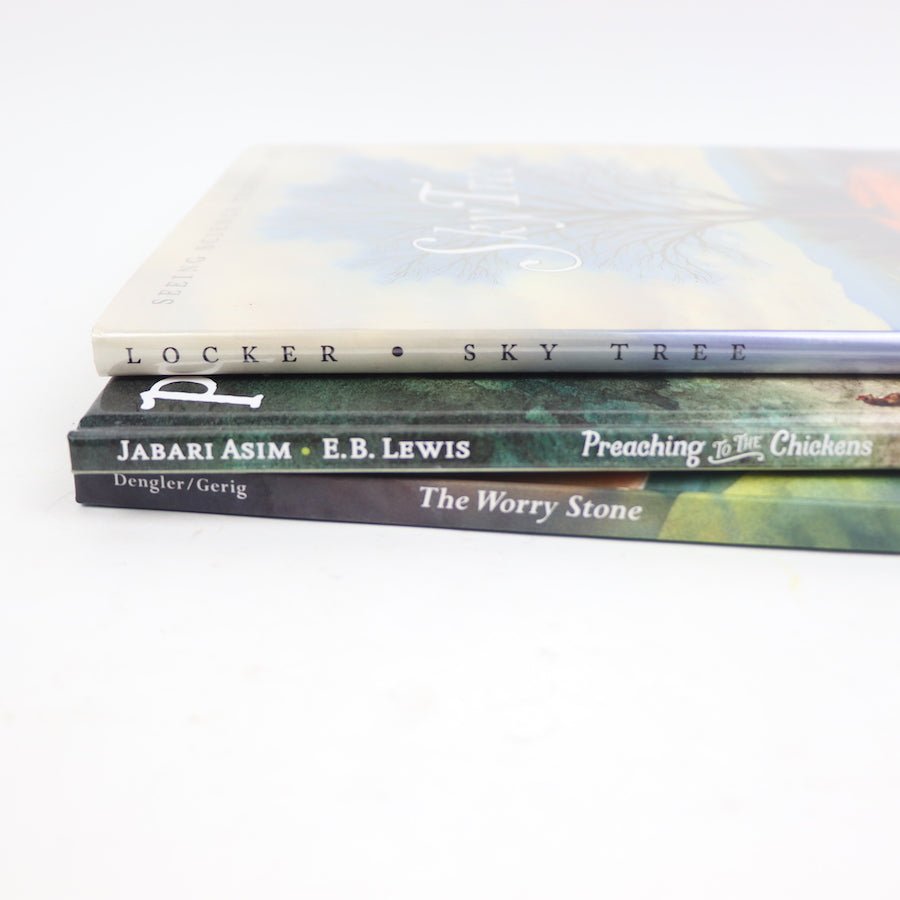 TOYCYCLE - The Worry Stone - Hardcover Picture Book Set