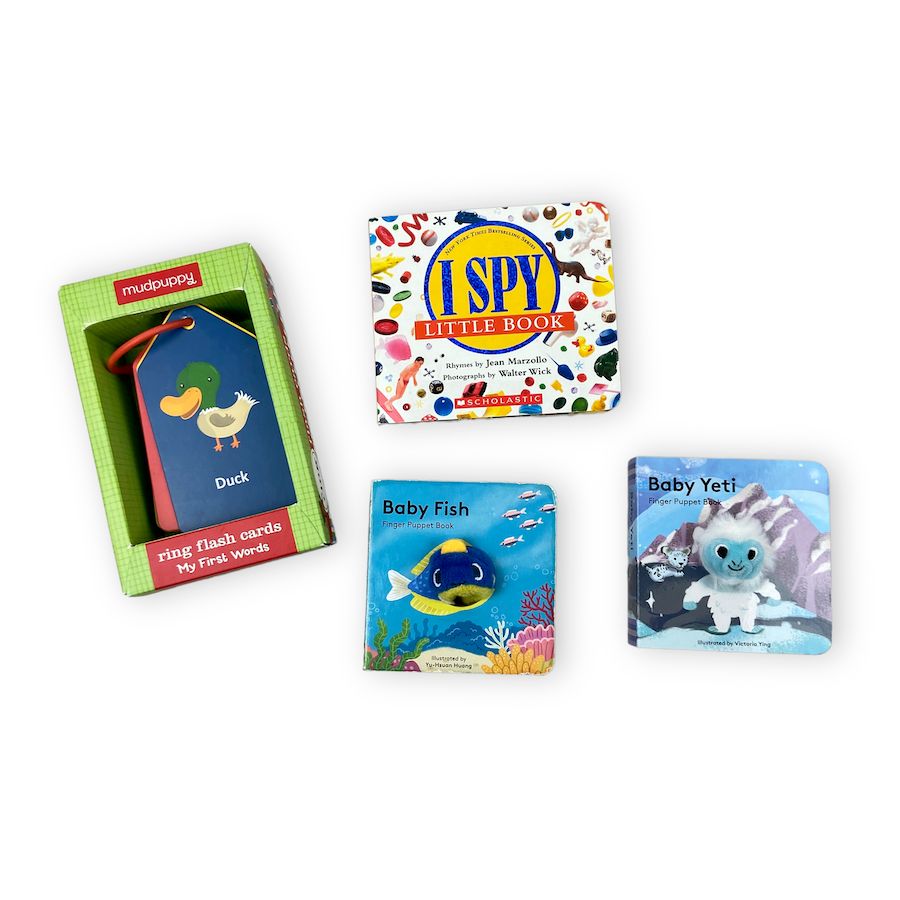 Toddler Book & Flashcard Bundle 