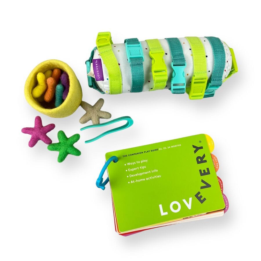 Toys from the Lovevery Companion Kit Toys 