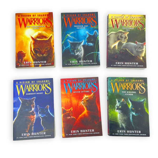 warriors-series-a-vision-of-